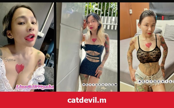 เปิดวาร์ป catdevil.m - xavidols