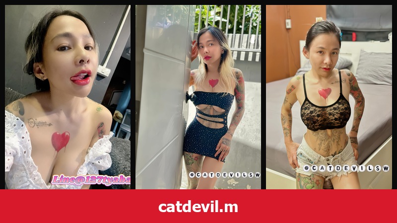 เปิดวาร์ป catdevil.m - xavidols