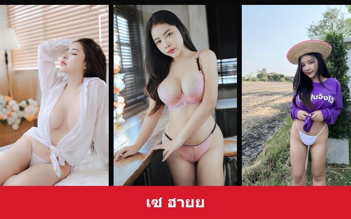 เปิดวาร์ป เซ ฮายย - xavidols