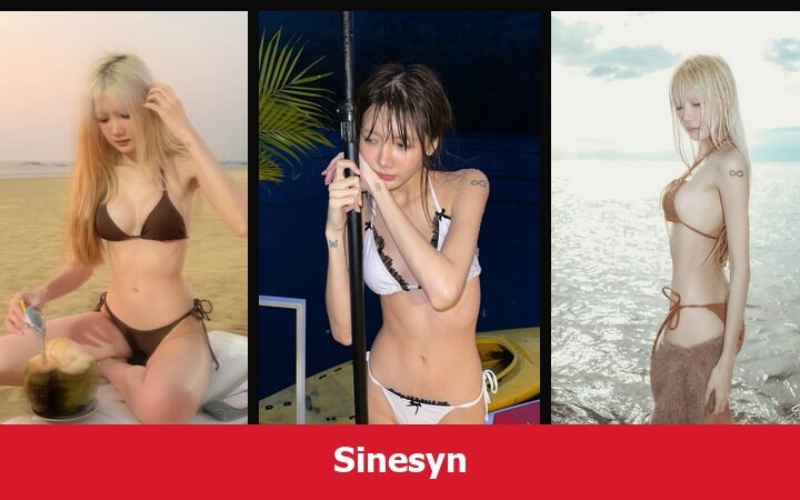 เปิดวาร์ป Sinesyn - xavidols